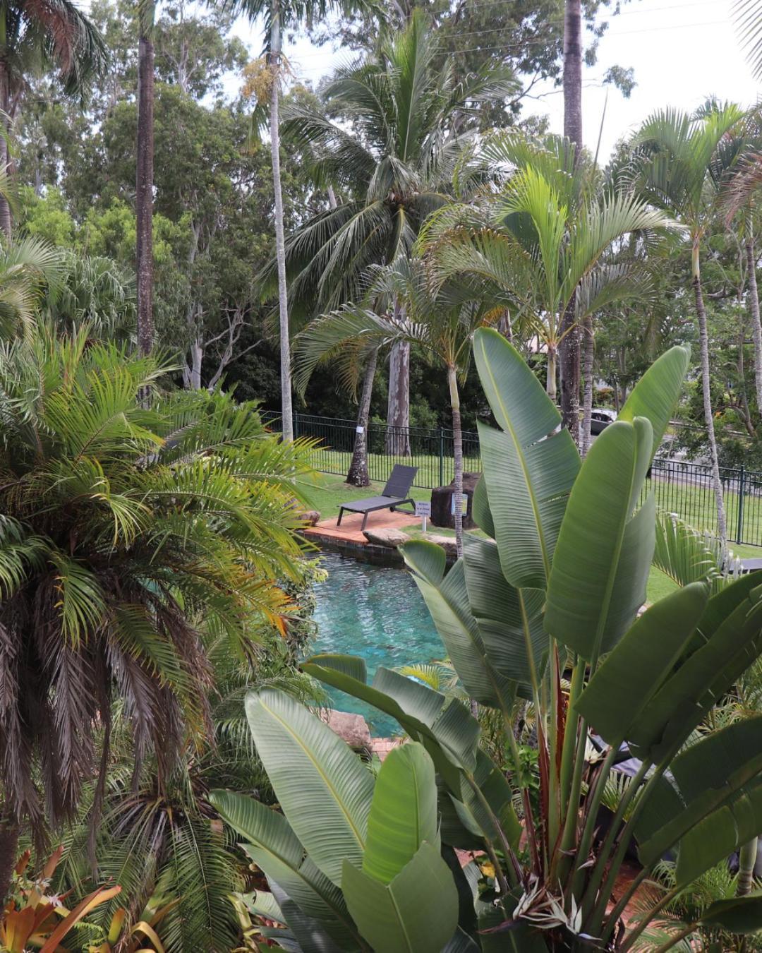 Colonial Palms Motor Inn Airlie Beach Exteriér fotografie